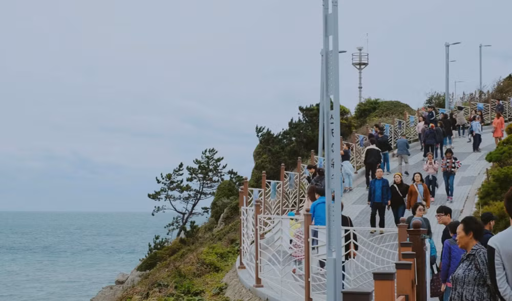 bay toi busan han quoc tu ha noi tp hcm da nang nha trang ve may bay vietjet chi tu 7700 dong hinh 1