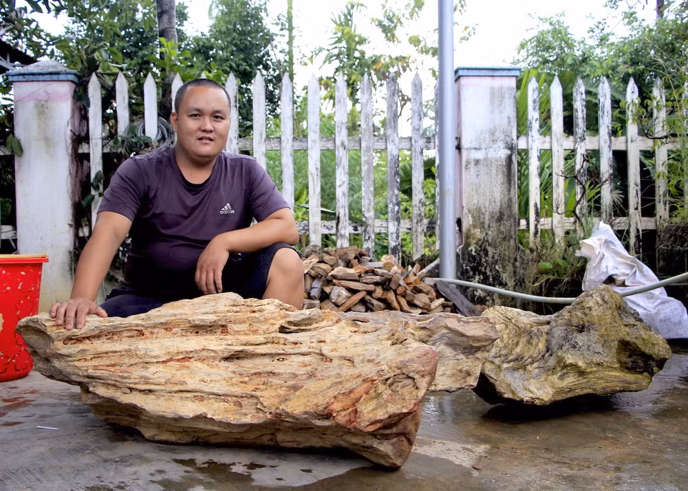 go hoa thach trieu nam tuoi dan can kiet tren cao nguyen gia lai hinh 2