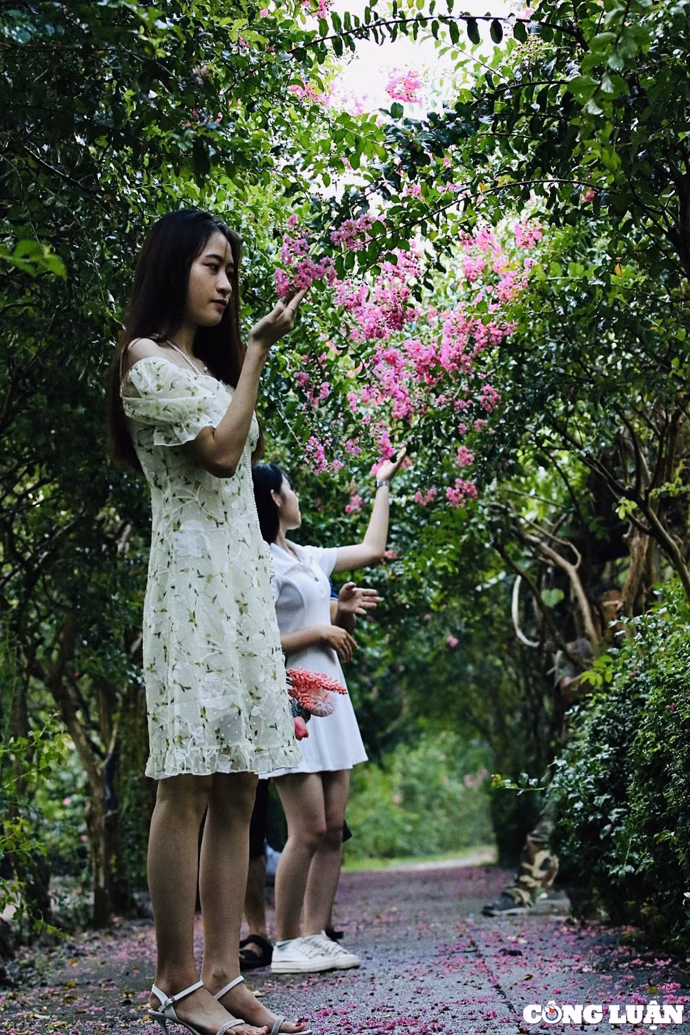 man nhan voi con duong hoa tuong vi dep nhu trong co tich o ha noi hinh 9