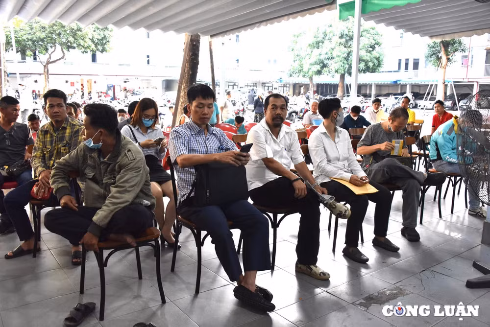 tp hcm nguoi dan do xo di doi giay phep lai xe cac diem tiep nhan qua tai hinh 1
