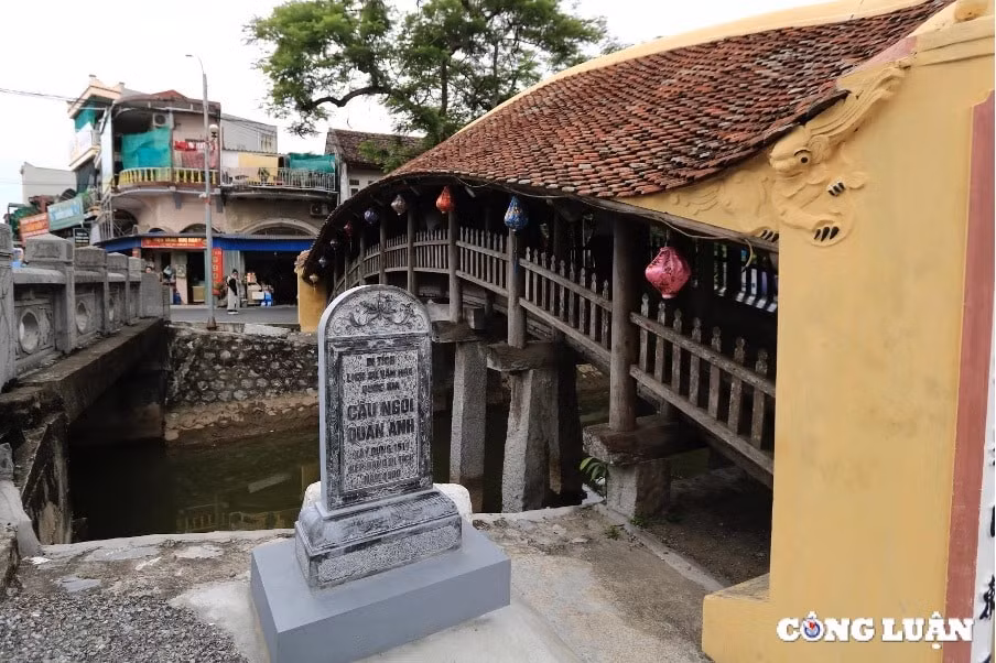 doc dao cay cau ngoi 500 nam tuoi o nam dinh hinh 1