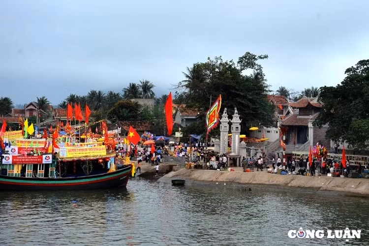 le hoi den con doc dao tuc chay oi tung kieu bay o xu nghe hinh 2