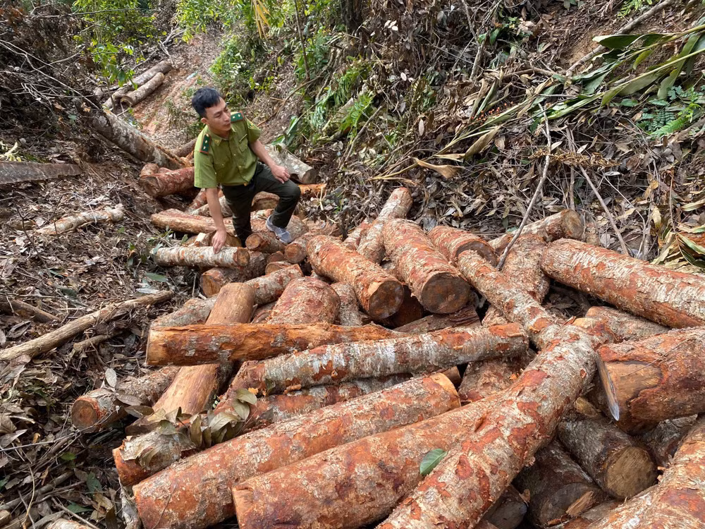 can-bo-cuc-lam-nghiep-va-kiem-lam-cung-chi-cuc-kiem-lam-vung-i-kiem-tra-hien-trang-rung-tu-nhien-bi-pha-tai-thon-khuoi-tooc-xa-hoi-hoan-tinh-lang-son.jpg
