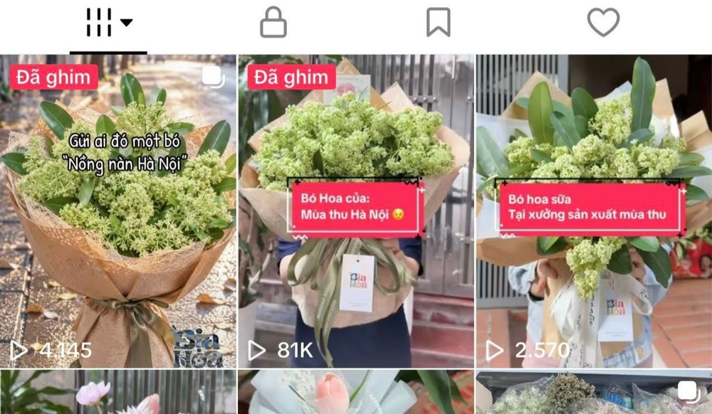 Vốn kinh doanh hoa sáp và hoa lụa trực tuyến, thấy hoa sữa nở rộ cuối thu, chị nhờ người hái, bó thành bó rồi đăng video lên mạng xã hội. Không ngờ, video bất ngờ lan truyền rộng rãi, kéo theo nhiều lời hỏi mua và phản ứng tích cực trên mạng xã hội. 854043175-2976946335983476-1820175927286017899-n-4701.jpg
