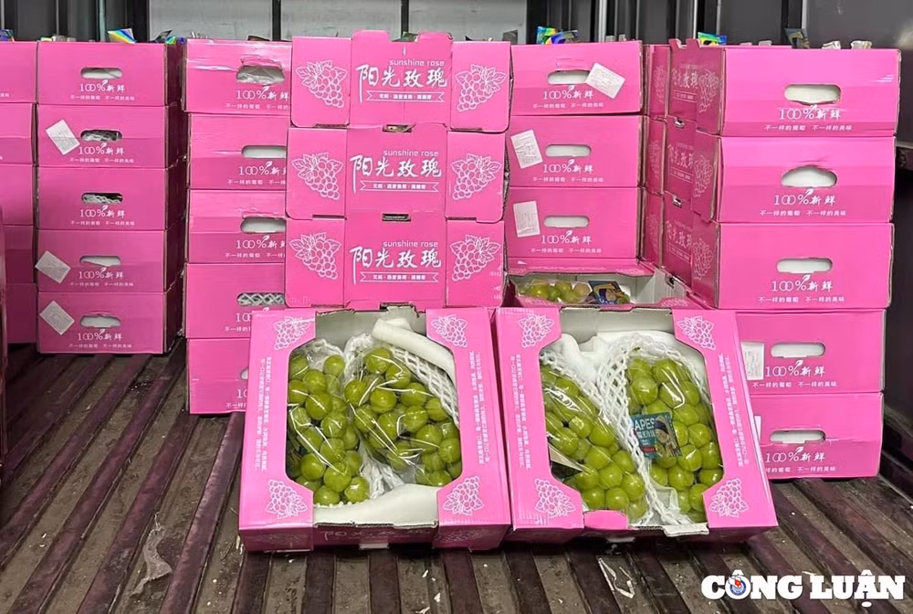 chi tu 25000 dong kg nho trung quoc dat hang tai cho viet hinh 3