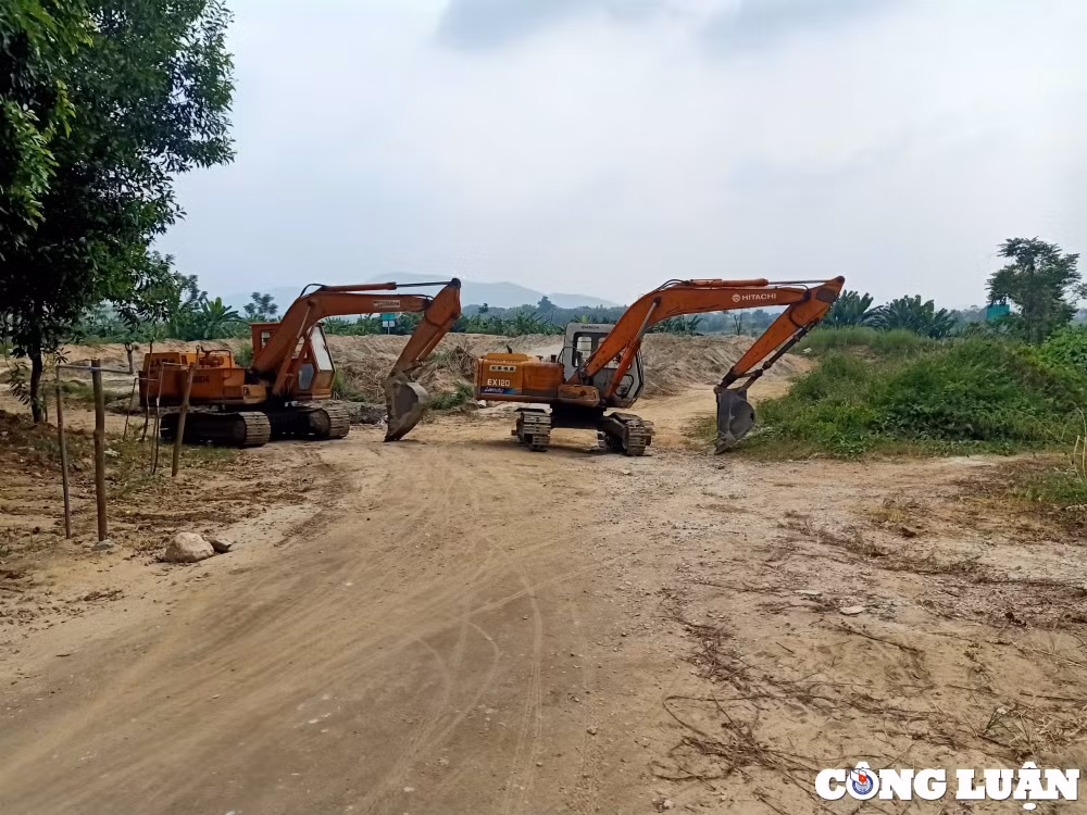 thanh hoa yeu cau cong ty tnhh thuong mai thanh chien ngung kinh doanh van chuyen cat tap ket hinh 1