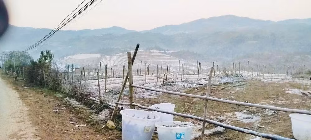 lao cai nhiet do giam xuong am 0 do c bang tuyet phu trang vung nui y ty hinh 3