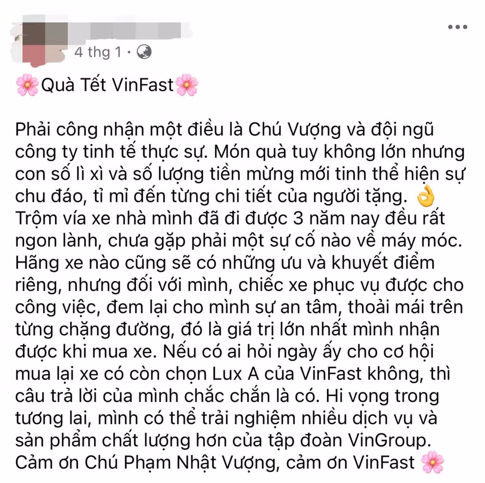trao luu vinfast tri an tri an vinfast chiem song cong dong mang hinh 2