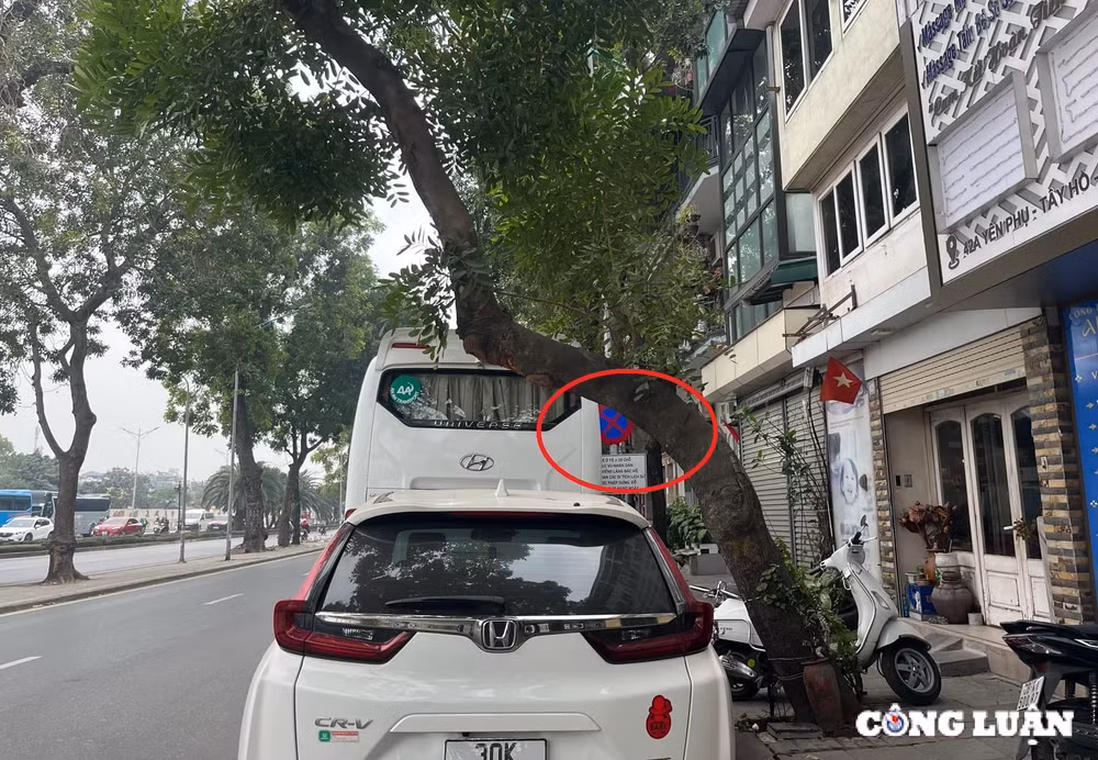can som khac phuc tinh trang den tin hieu bien bao giao thong bi che khuat hinh 3