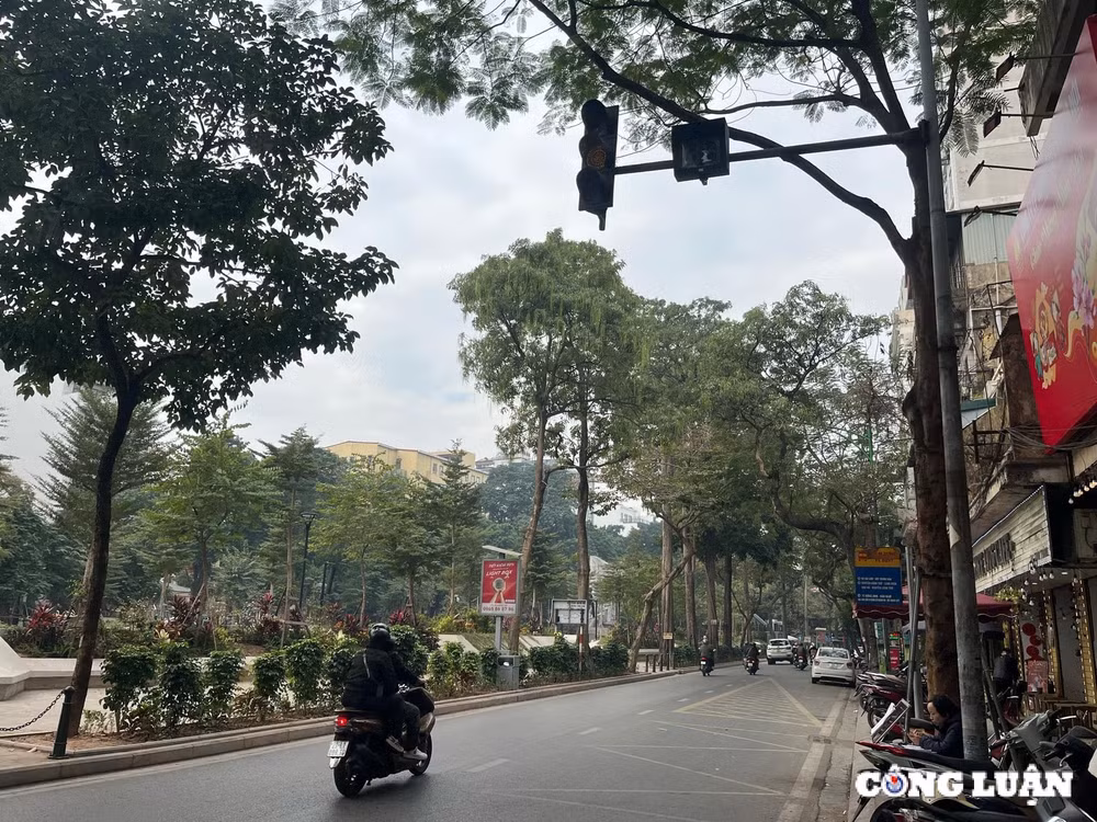 can som khac phuc tinh trang den tin hieu bien bao giao thong bi che khuat hinh 5