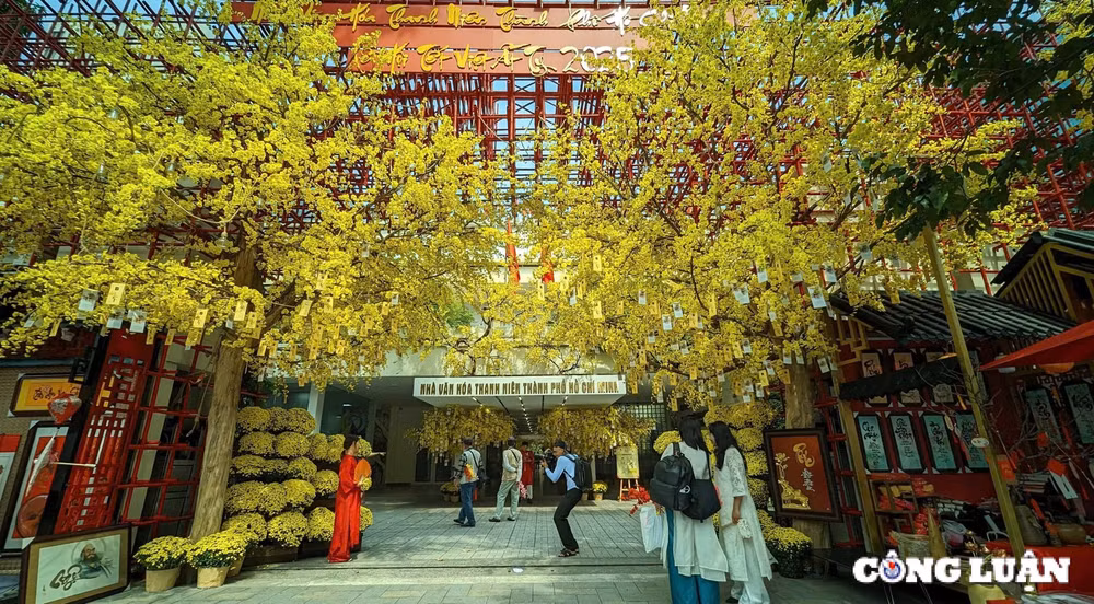 pho ong do tp hcm ngap tran sac xuan nhieu ban tre hao hung check in hinh 1