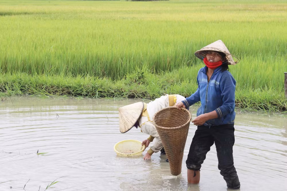 dak lak nhoc nhan muu sinh nghe mo hen bat oc o ho lak hinh 2