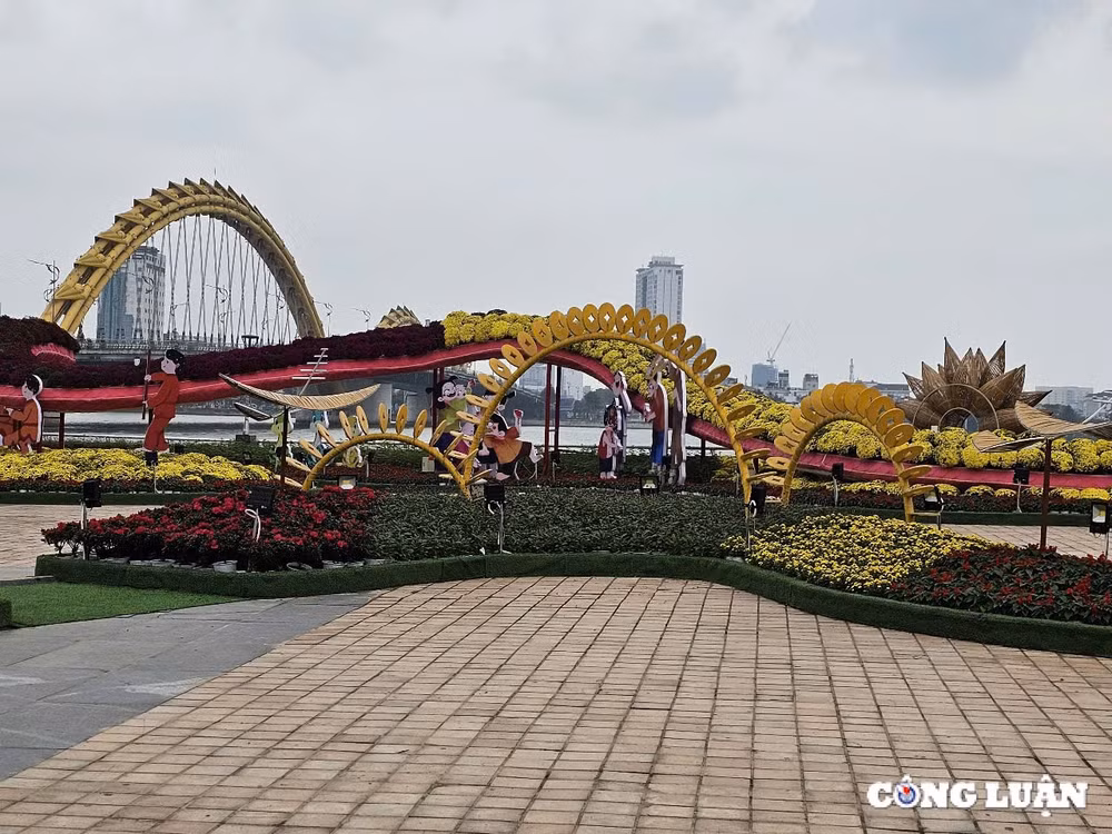 chiem nguong linh vat ran tren duong hoa xuan da nang 2025 hinh 10