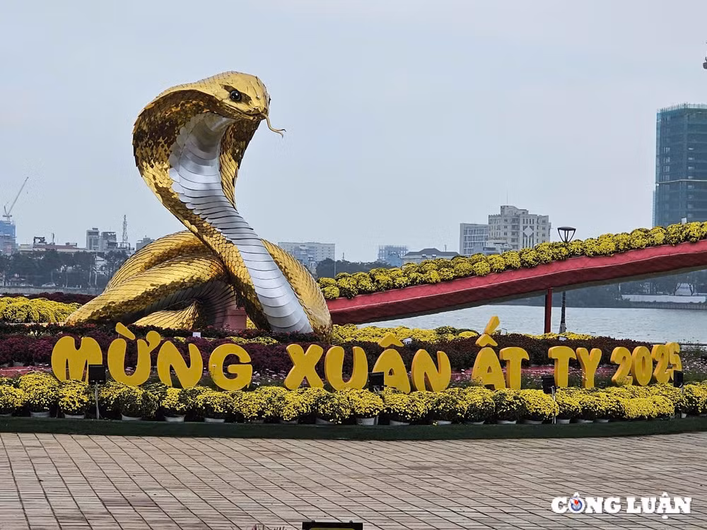 chiem nguong linh vat ran tren duong hoa xuan da nang 2025 hinh 7