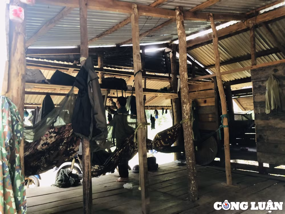 gia lai tram gac rung giua chon tham son cung coc hinh 4