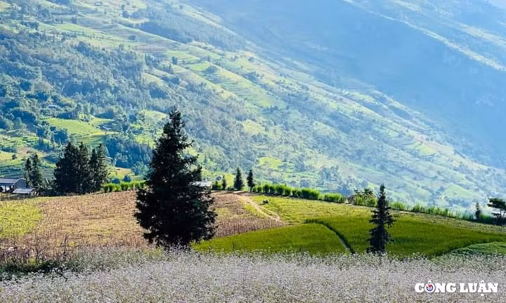 thao nguyen suoi thau troi au ngay giua long ha giang hinh 2