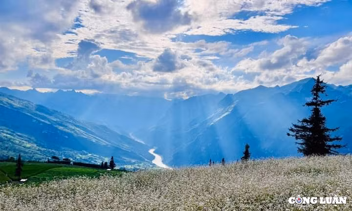 thao nguyen suoi thau troi au ngay giua long ha giang hinh 1