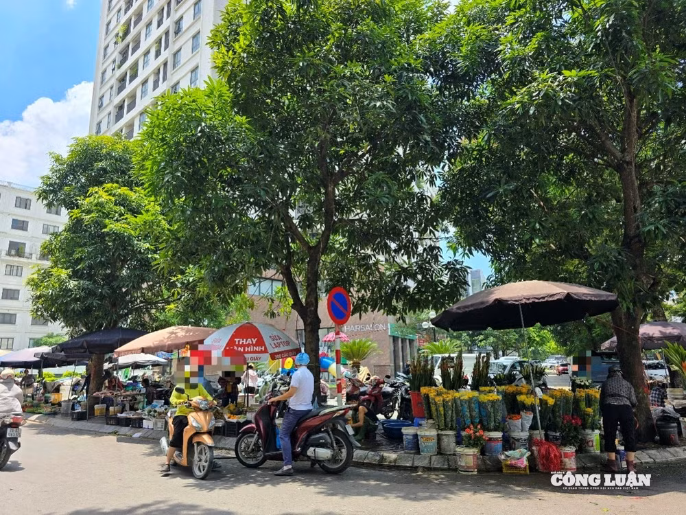 HÀ NỘI