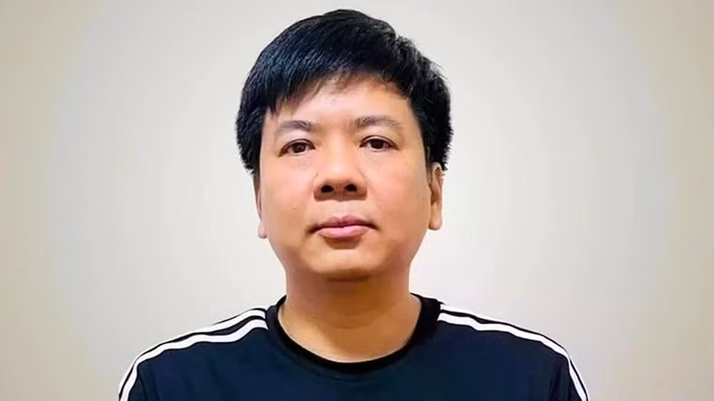 shark_thuy.webp