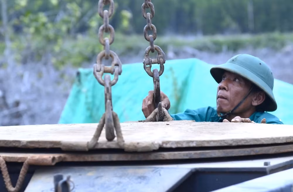 Công nhân thi công giữa rừng ngập mặn, nắng gió biển tại Cà Mau