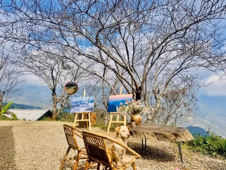 Đông đảo du khách đổ về xã Tà Xùa, Sơn La để check-in tại mái nhà gỗ đang gây sốt cộng đồng mạng.