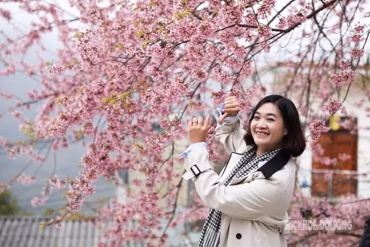 Du khách trải nghiệm mùa hoa tại Lũng Cú
