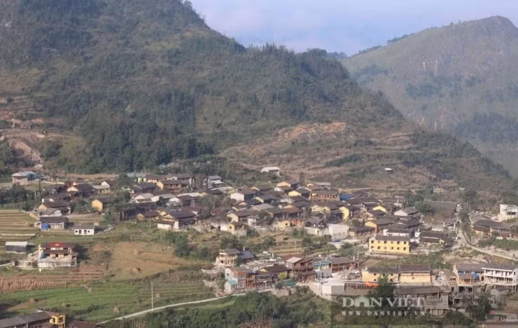Làng Lô Lô Chải mùa hoa anh đào