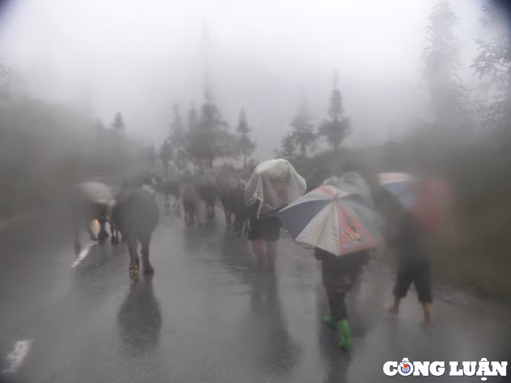 nhip song sa pa trong gia lanh duoi 10 do c hinh 5