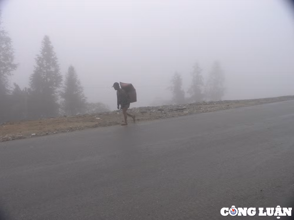nhip song sa pa trong gia lanh duoi 10 do c hinh 6