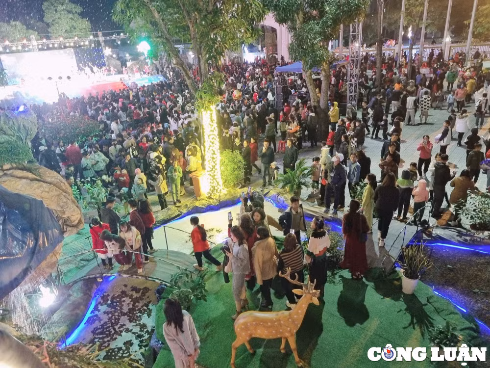 lung linh dem giang sinh tai ha tinh hinh 2