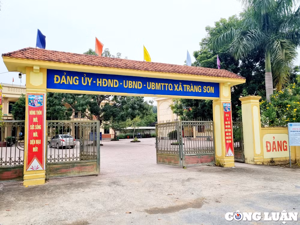 ubnd tinh nghe an yeu cau huyen do luong xu ly nghiem viec tu y xay dung nghia trang tren dat lam nghiep hinh 2