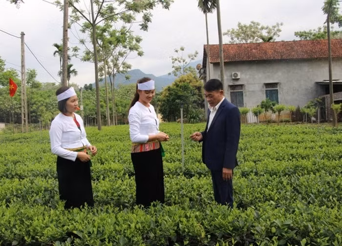ha noi ho tro 13 xa vung dan toc thieu so mien nui phat trien kinh te xa hoi hinh 1