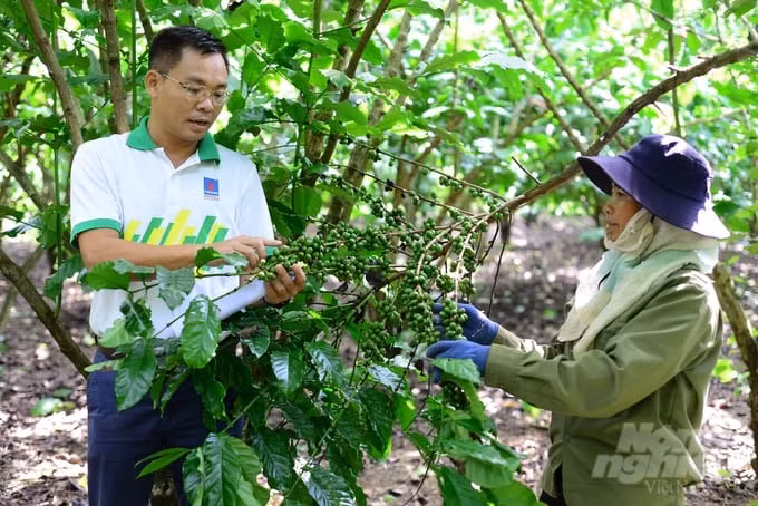 cach dam phu my den gan hon voi co dong hinh 3