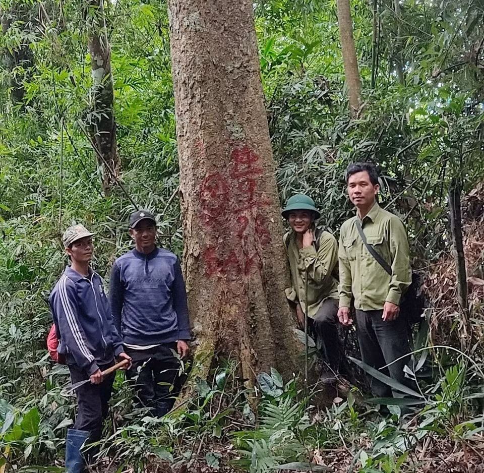 gia lai loi ich kep tu viec giao khoan bao ve rung vung dong bao it nguoi hinh 1