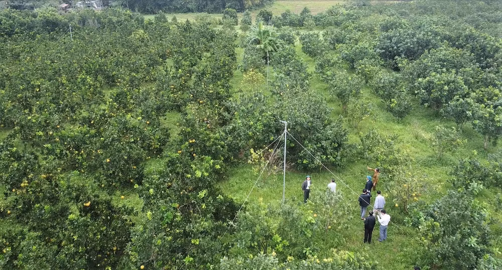 nhu thanh thanh hoa doi moi tu duy va khoi day y chi vuon len phat trien kinh te cua dong bao hinh 2