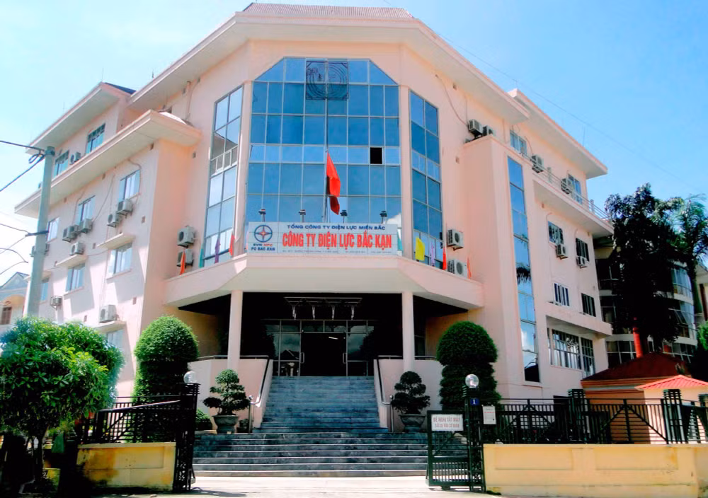 dien luc bac kan len tieng ve nhung cao buoc tieu cuc trong dau gia tai san hinh 1