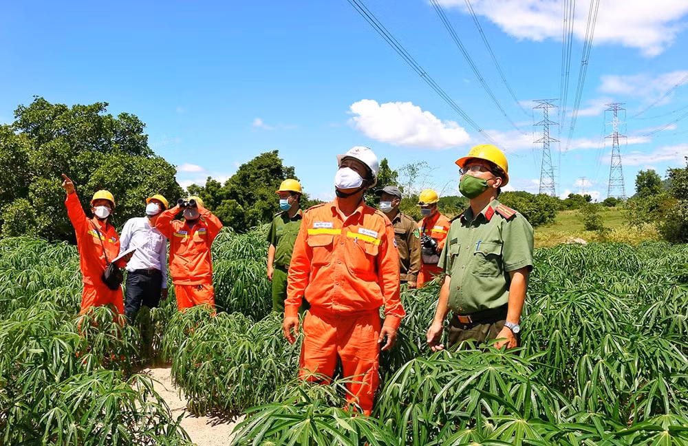 evn da dam bao cung cap dien an toan on dinh trong dip le quoc khanh 2 9 2022 hinh 1