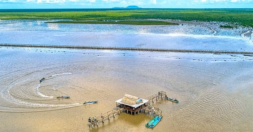 suc hut du lich xanh mui ca mau hinh 2