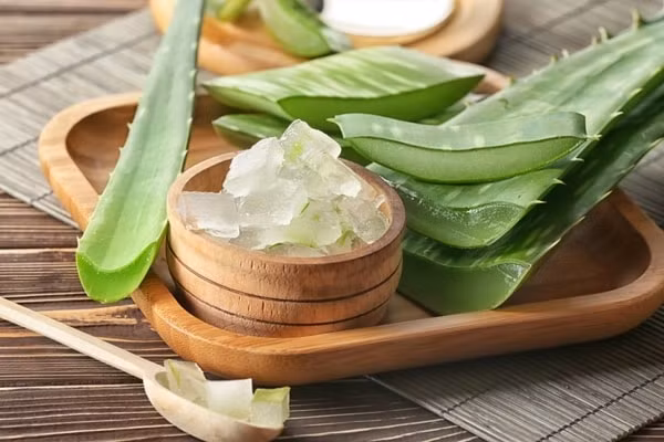 Sử dụng gel nha đam thường xuyên giúp làm mờ vết rạn trên da
