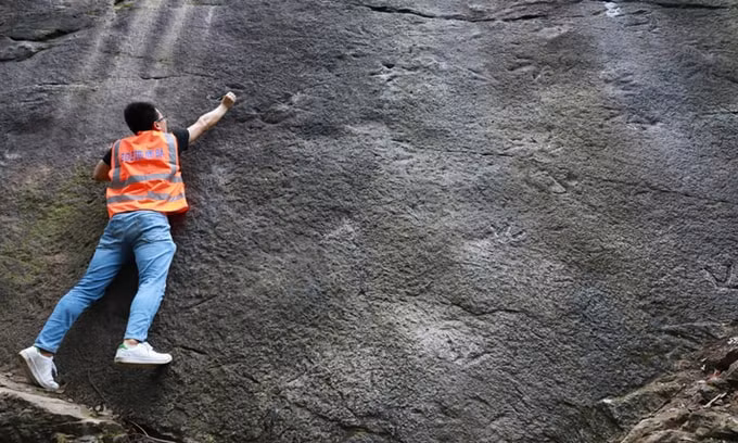 "Chủ nhân" của 46 dấu chân được tìm thấy là những con khủng long chân thú kích thước từ trung bình đến lớn và đang chạy thong thả.