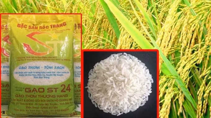 Gạo ST24 của Việt Nam đã trở thành Gạo ngon nhất thế giới năm 2019. Ảnh: TL
