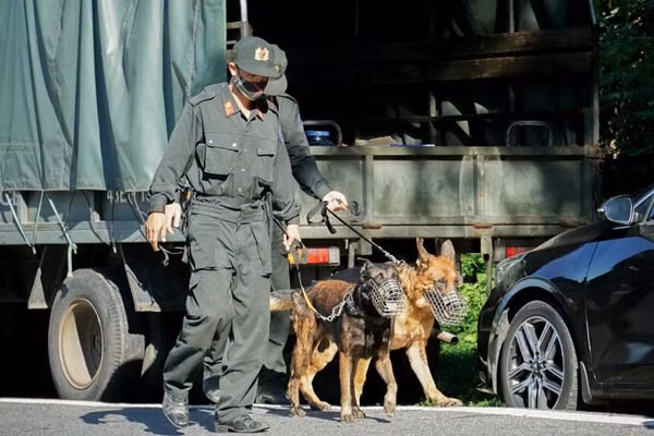 Chó nghiệp vụ được sử dụng để truy tìm Triệu Quân Sự