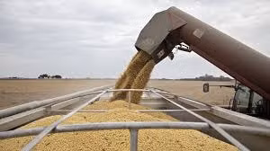 Bloomberg đưa tin, Trung Quốc bất ngờ tạm dừng mua nông sản Mỹ trong bối cảnh căng thẳng giữa hai bên đang gia tăng - Ảnh: Bloomberg