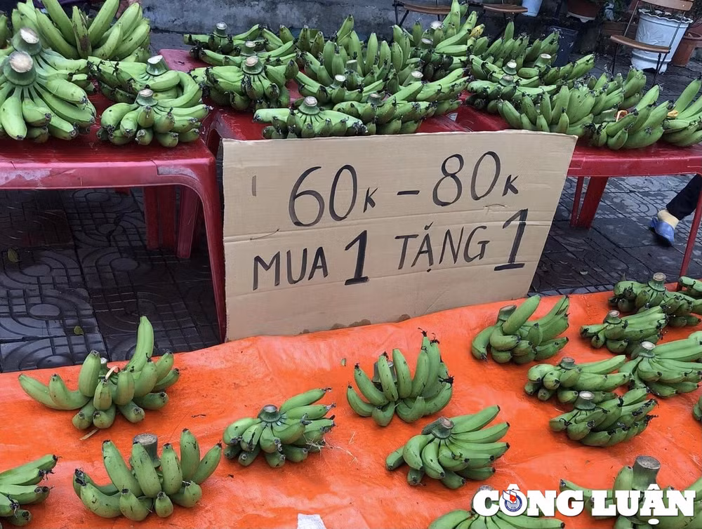 thanh hoa 28 tet nguoi buon dao quat dong loat xa hang hinh 8