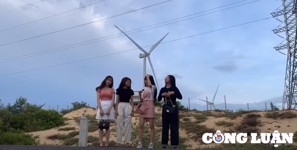 ve dep day me hoac cua canh dong dien gio phuong mai quy nhon hinh 4