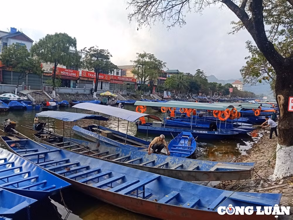 sat mua le hoi chua huong hang tram thuyen do cua htx suoi yen van nam bo hinh 1