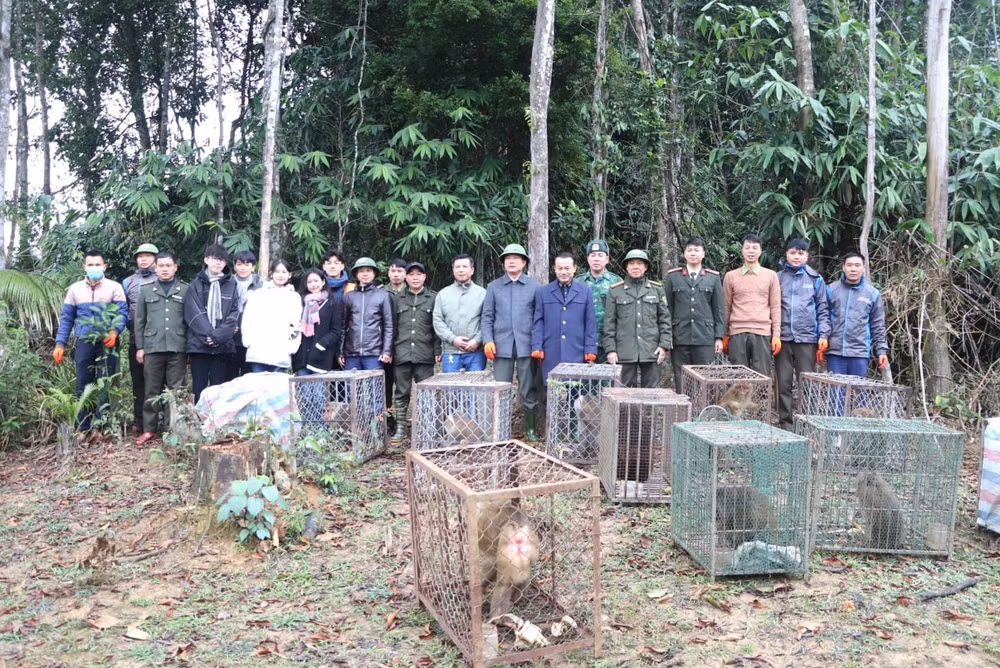 tai tha 30 thu hoang da sau cuu ho o sa pa vao vuon quoc gia vu quang hinh 1