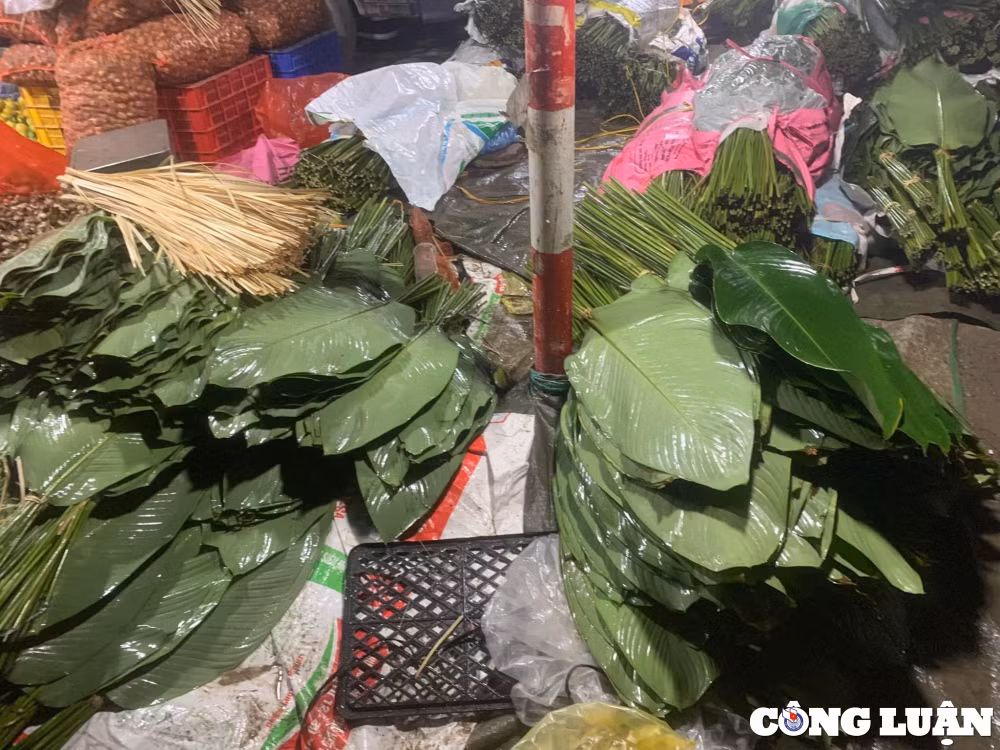 can tet la dong khan hiem tai cho gia cao gap 3 van khong du hang ban hinh 1