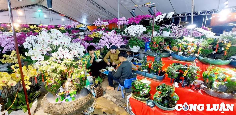 quang ninh cho hoa xuan ha long nhon nhip ngay cuoi nam hinh 8