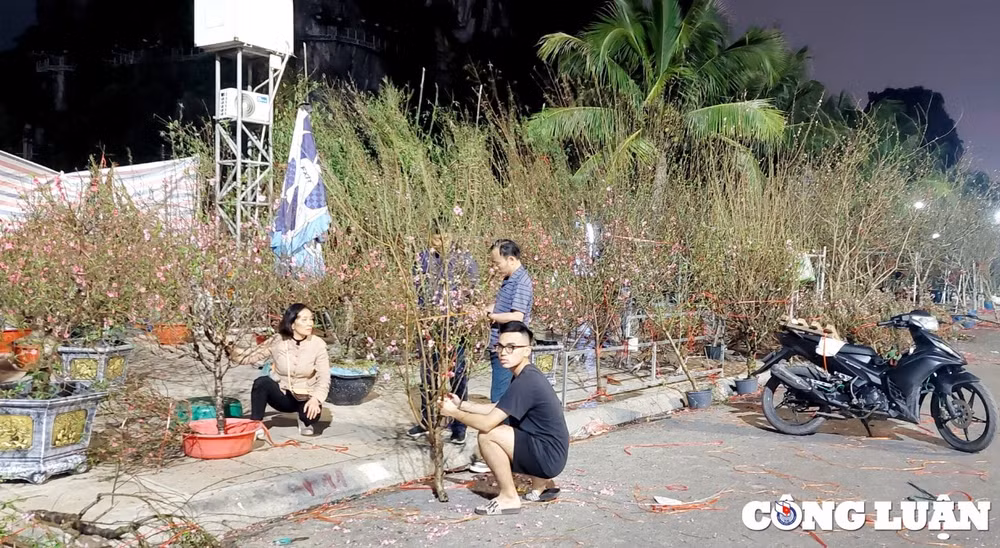 quang ninh cho hoa xuan ha long nhon nhip ngay cuoi nam hinh 3
